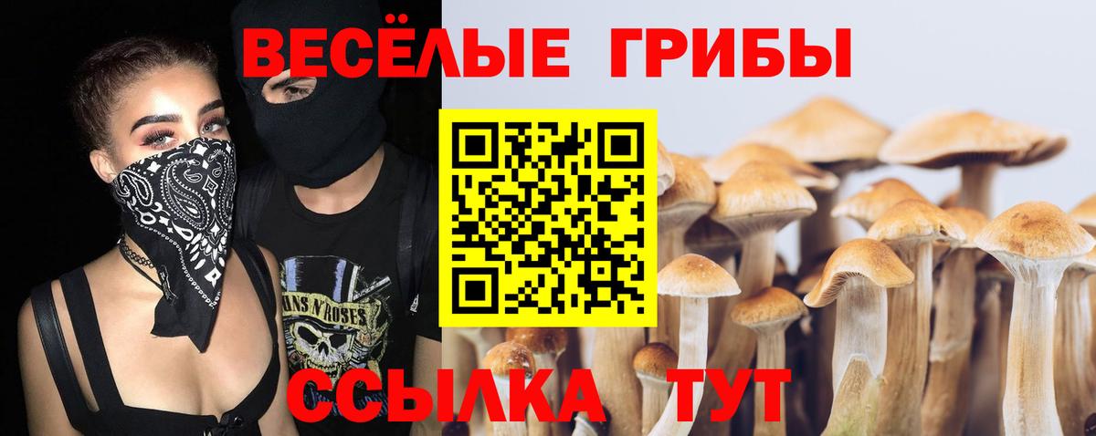 Псилоцибиновые грибы Psilocybine cubensis Трёхгорный