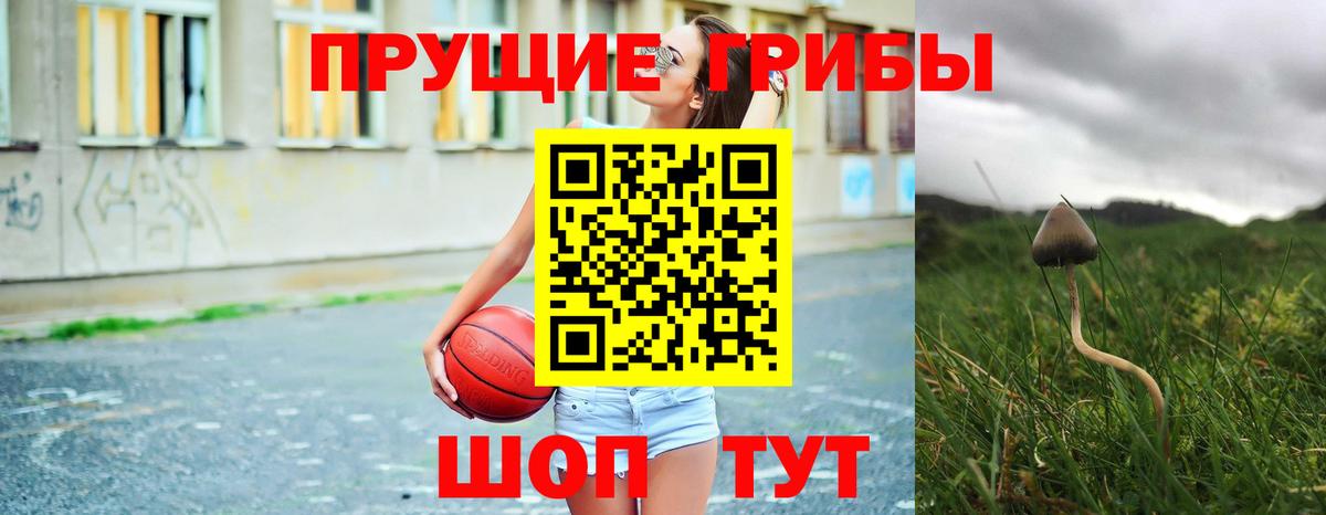 Псилоцибиновые грибы прущие грибы  Вход с VPN  где можно купить наркотик  Трёхгорный 